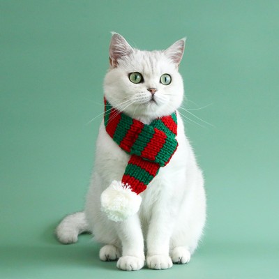 Striped Knit Christmas Pet Scarf Thick Warm Neck Wrap for Cats and Dogs